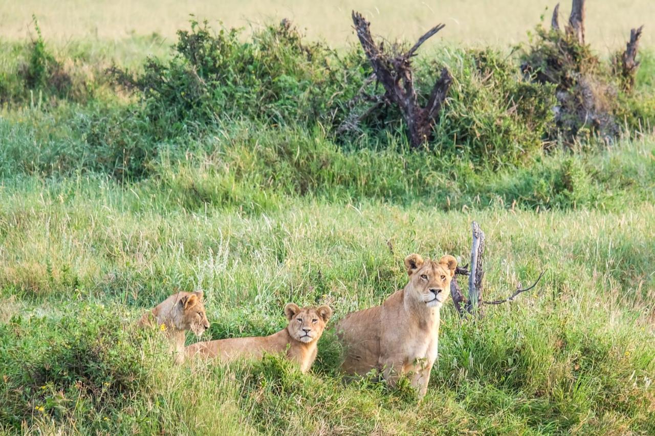 Saadani Safari Lodge Esterno foto