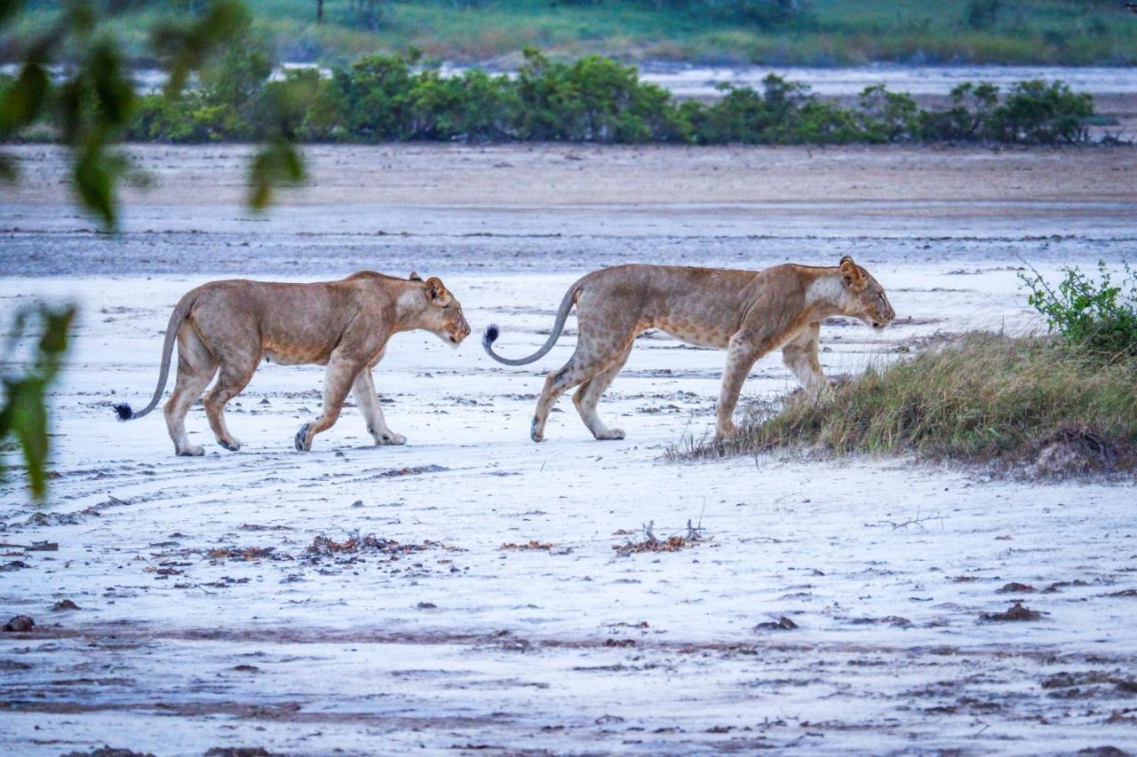 Saadani Safari Lodge Esterno foto