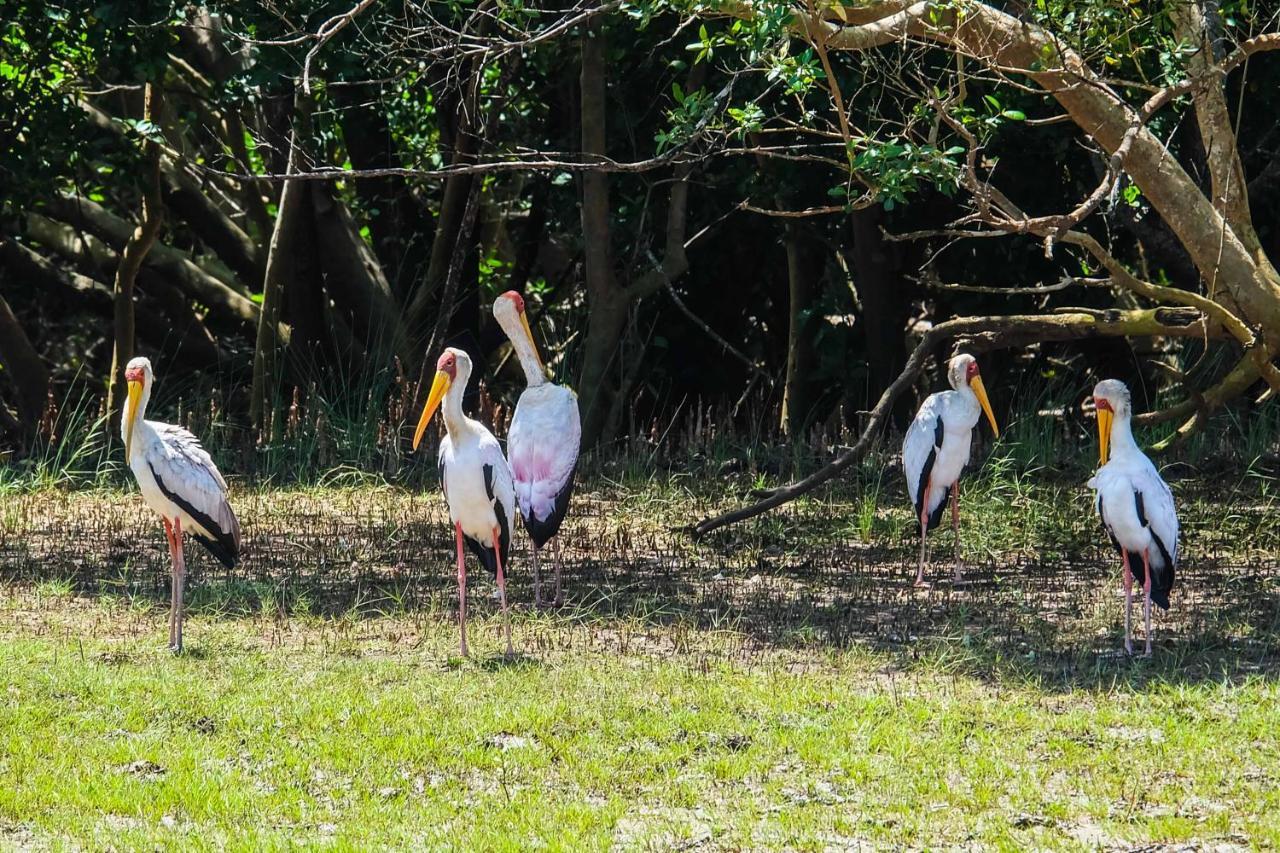 Saadani Safari Lodge Esterno foto